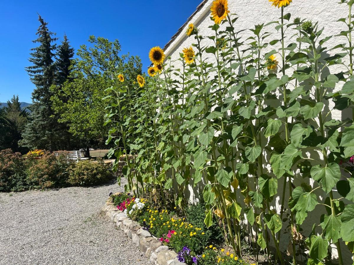 Le Cheval Blanc Bed & Breakfast Serres  Exterior photo